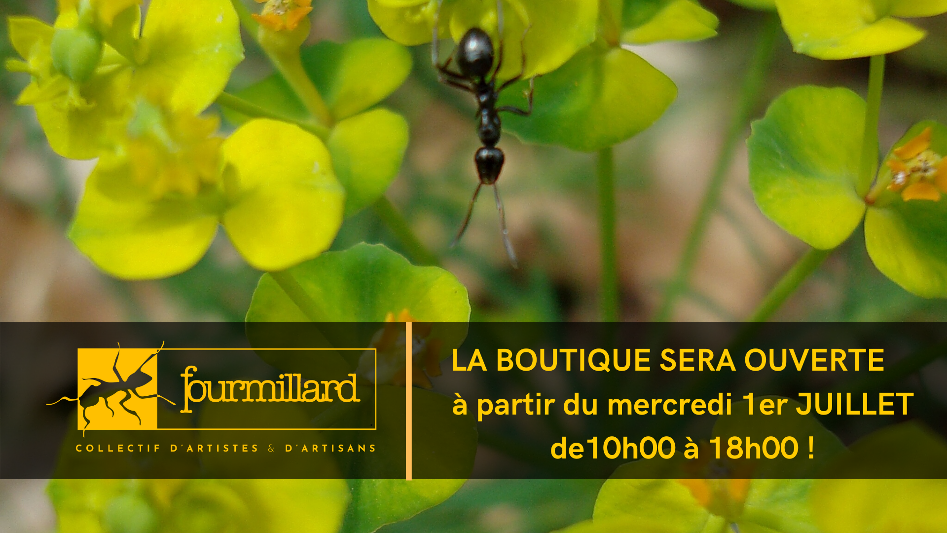 brassière ouverture devant